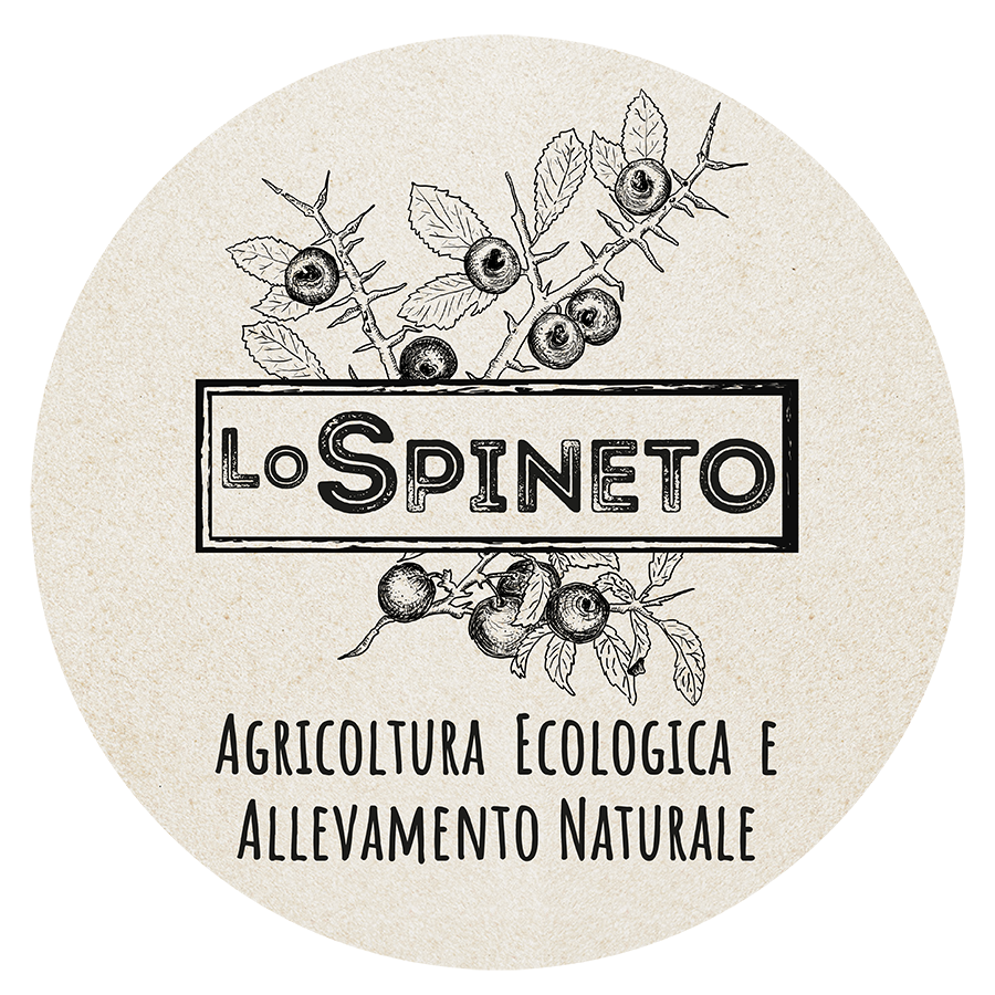 Agricoltura Ecologica e Allevamento etico | Lo Spineto